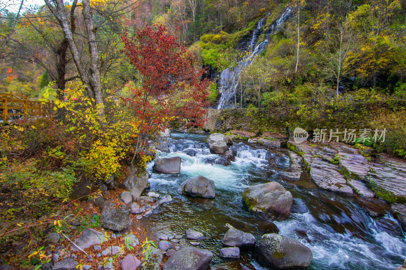 长白山望天鹅景区溪流秋色