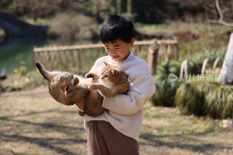 一个中国小男孩和他的宠物猫金渐层