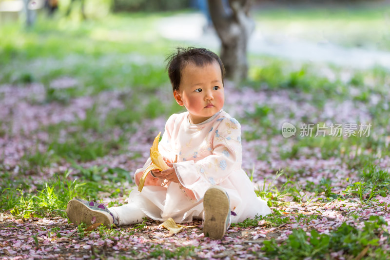 春天开满鲜花 花瓣满地 户外赏花幼儿宝宝