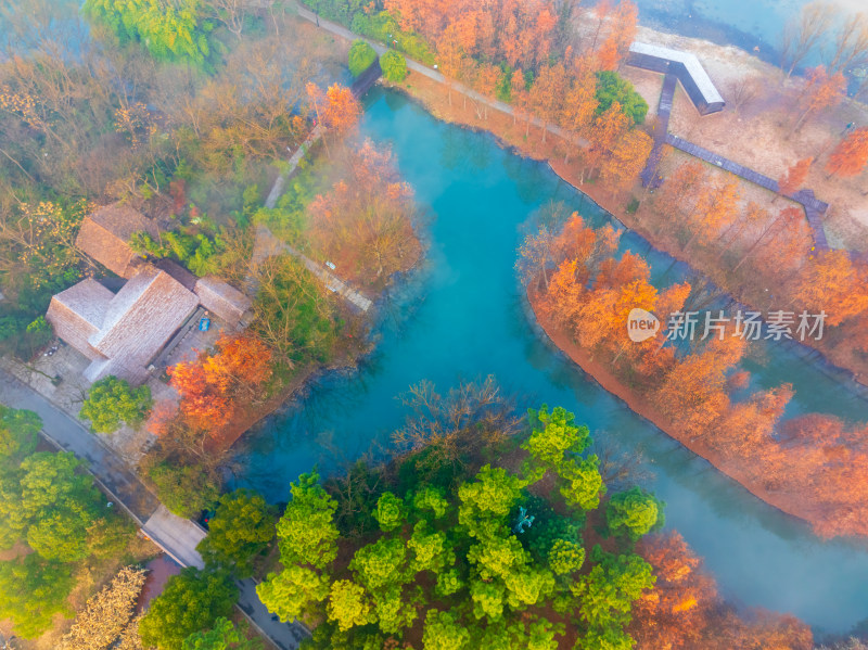 杭州西溪湿地自然风光