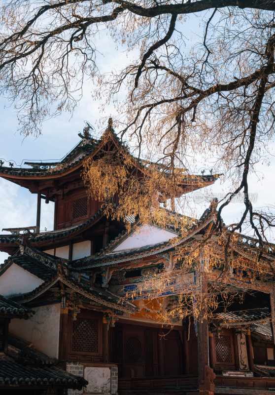 云南旅游大理洱海蒙自弥勒建水元阳梯田景区