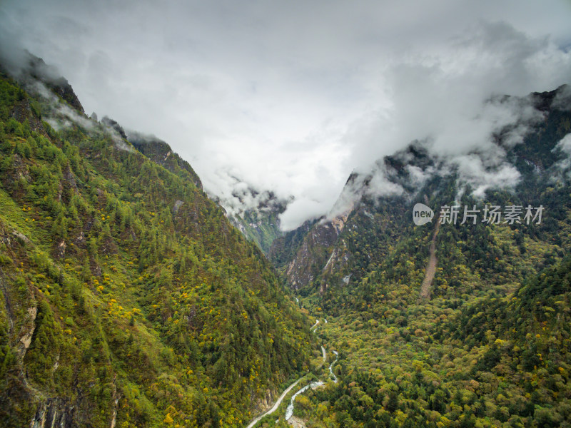 秋天树林云雾山峰