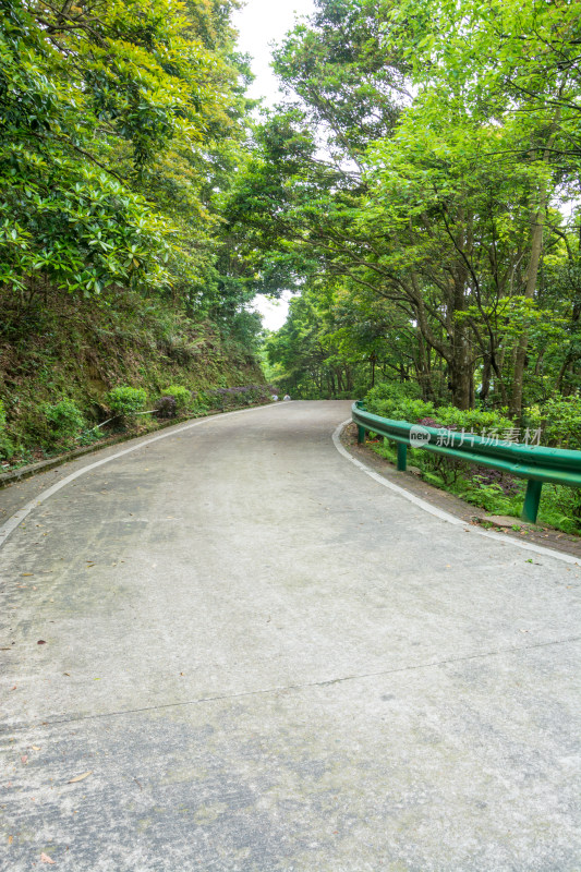 清溪森林公园盘山公路