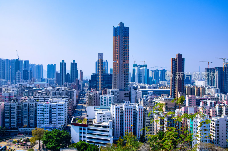 香港深水埗嘉顿山顶看城市高楼建筑群