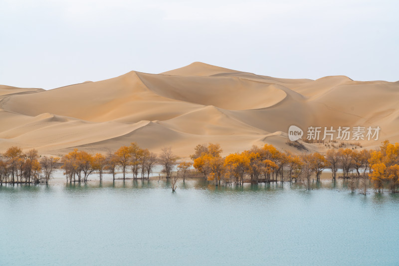 秋天的新疆尉犁县葫芦岛风景