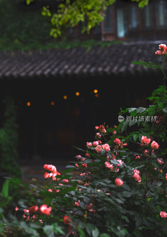 江南水乡春季古镇风光素材