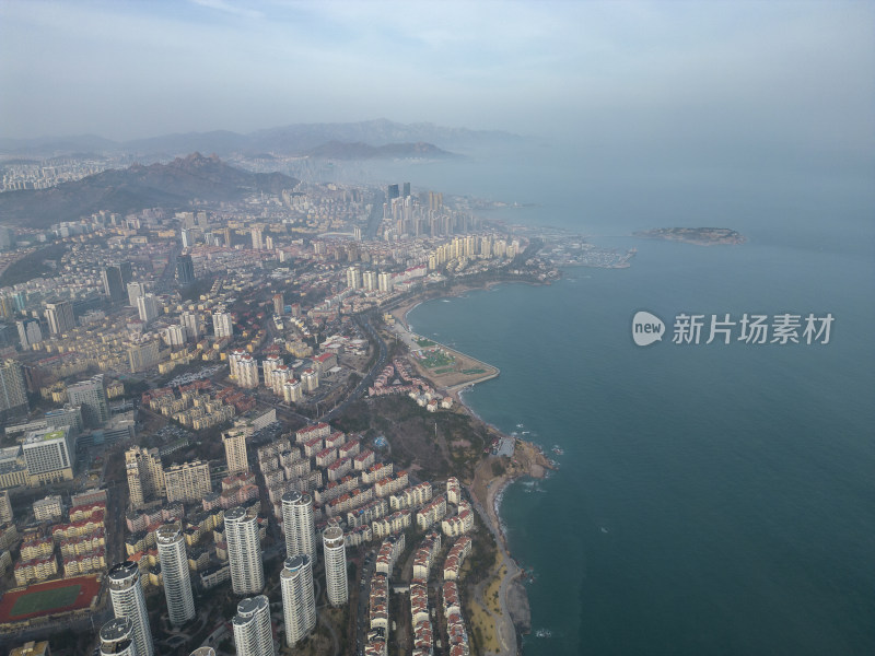 青岛海滨城市高楼航拍全景