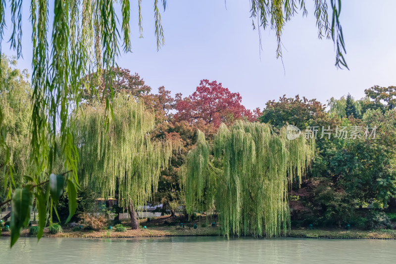 晴朗的午后，扬州瘦西湖江南园林风景