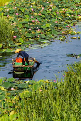 中国邹城孟子湖湖泊湿地渔船自然景观