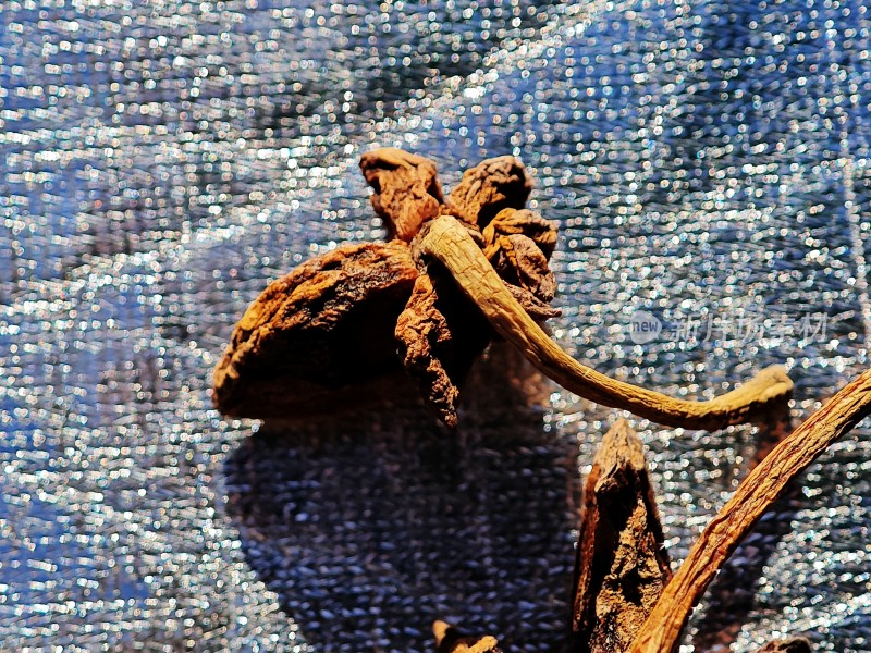 亮色背景下的干枯八角特写