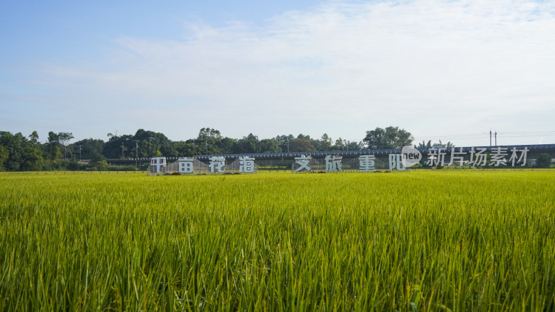 韶关重阳镇水口村自然风光