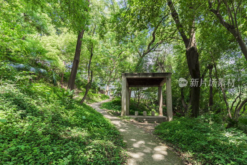 武汉武昌区首义公园风景