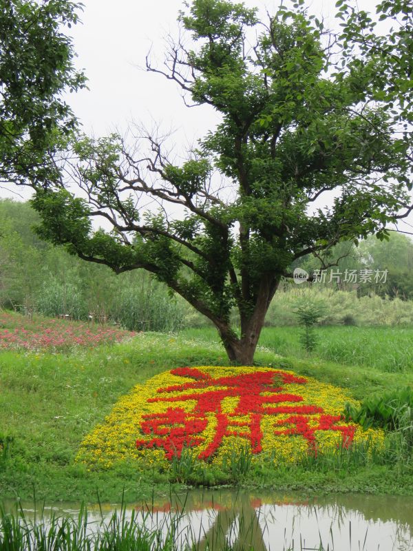 杭州西溪湿地公园风景