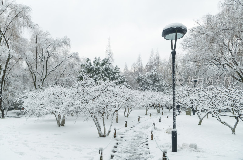 杭州市西湖雪景