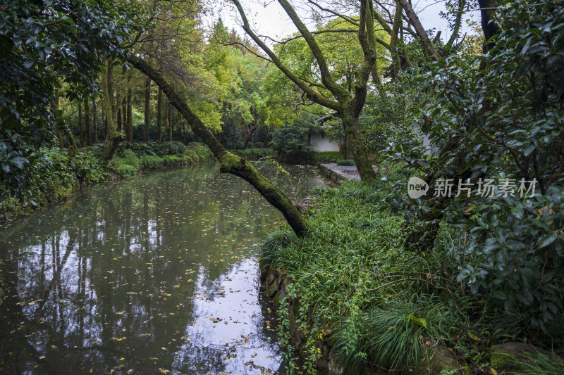 杭州三台山浙商总会风景