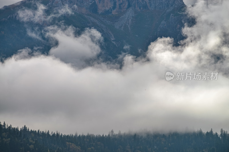 云雾中的森林山峰虎头山