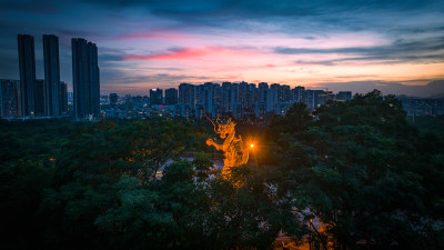 深圳坪山区聚龙山公园