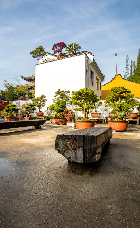 上海徐汇龙华寺自然建筑景观龙华寺塔