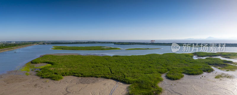 杭州大湾区湿地公园