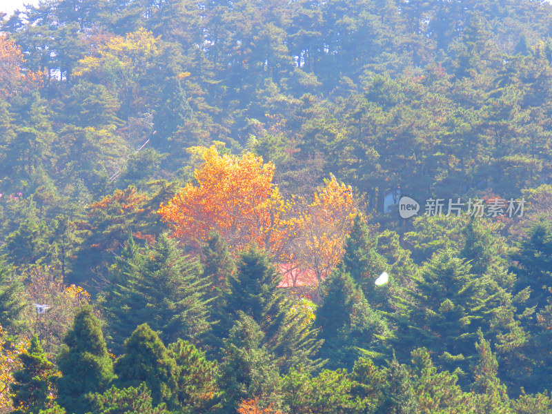 中国江西九江庐山旅游风光