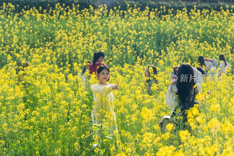 福州花海公园女孩在油菜花田拍照场景