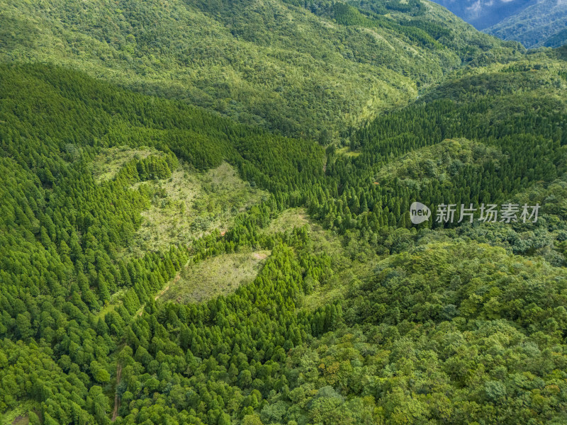 森林大山航拍