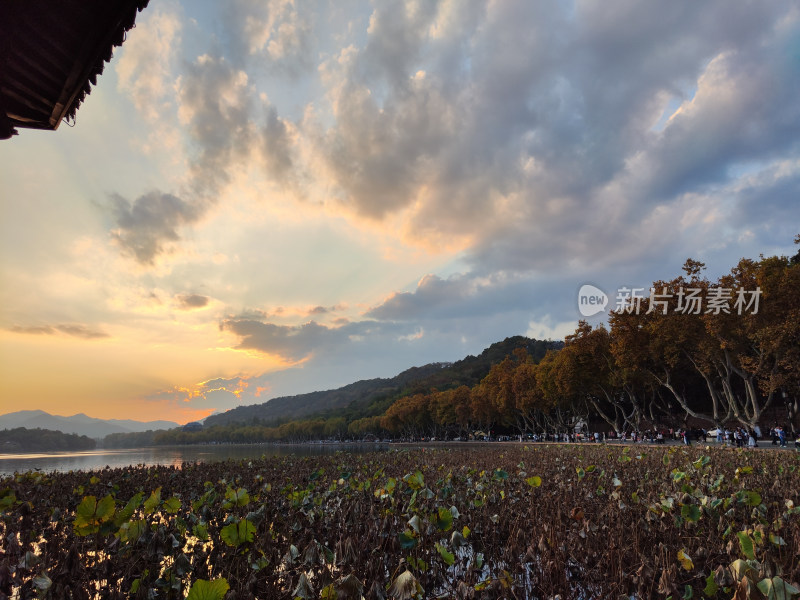 杭州西湖断桥湖畔黄昏夕阳下的景色