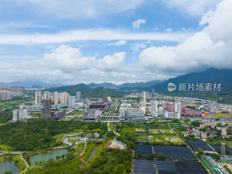 深圳坪山大学城