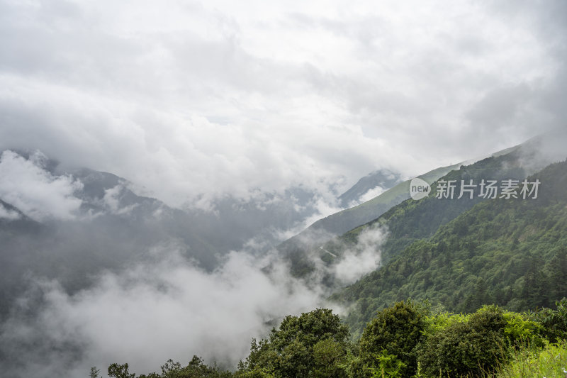 四川四姑娘山双桥沟自然风景