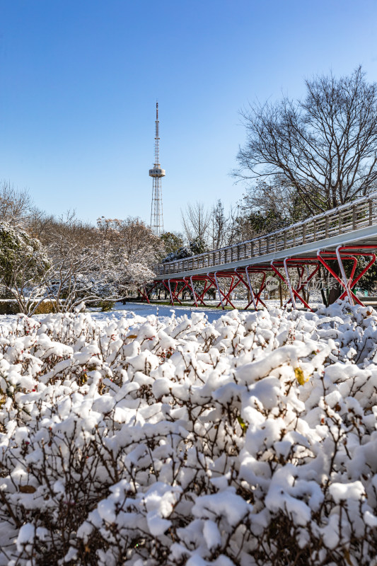 济南泉城公园自然景观雪景