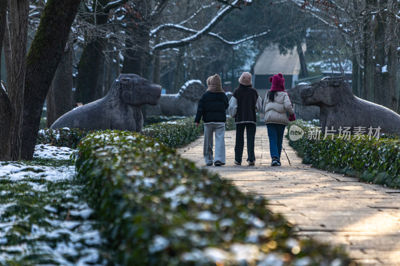 南京明孝陵石象路神道雪景