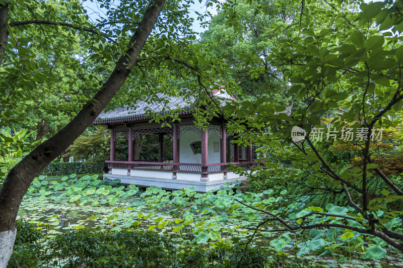 武汉东湖湖北书画院风景