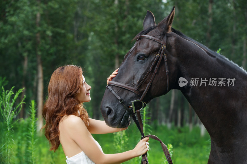 漂亮的年轻女人抚摸着马