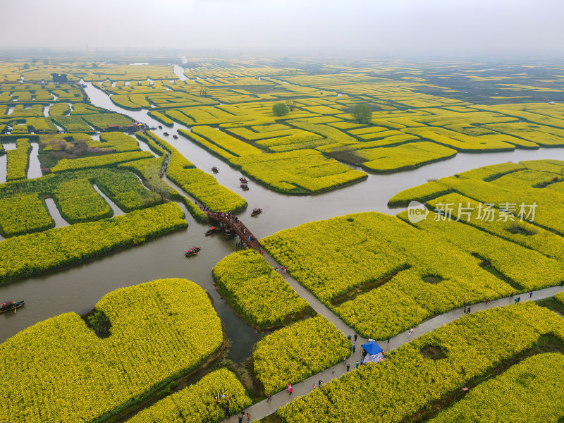 江苏扬州千垛油菜花金黄色运河航拍