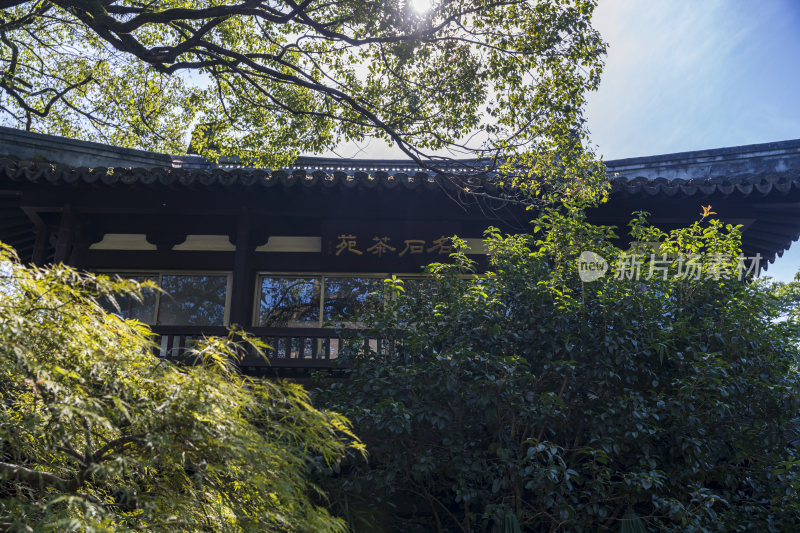 杭州西湖风景区曲院风荷风景