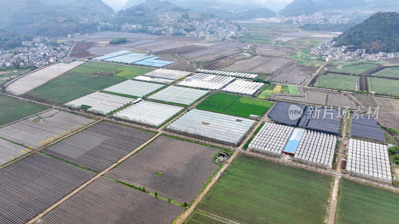 航拍农业大棚基地 农业产业乡村振兴