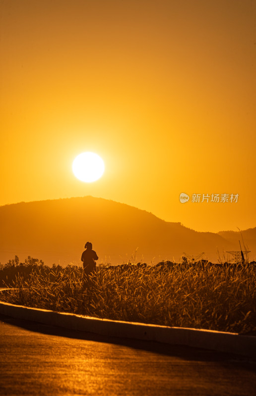 夕阳下道路上的景观