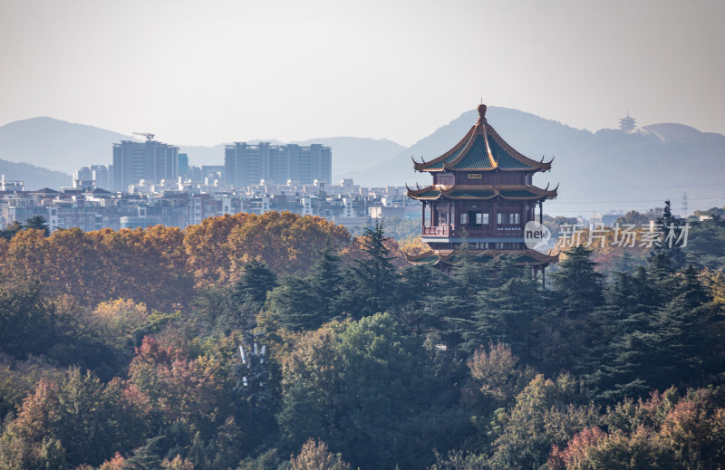 南京雨花台城市山林景观全景