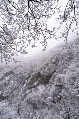 老君山下雪大山森林雾凇景观