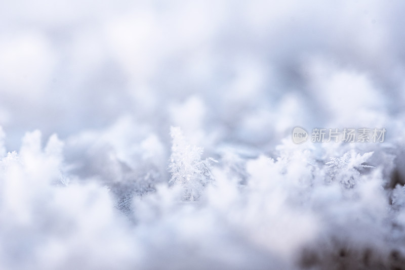 冬天微距特写冰晶雪花