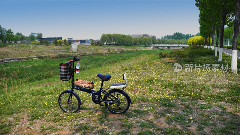 骑行素材，草地上的自行车