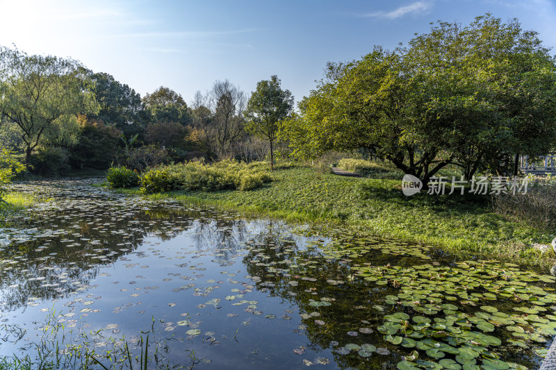 杭州西子湖畔杭州花圃风景