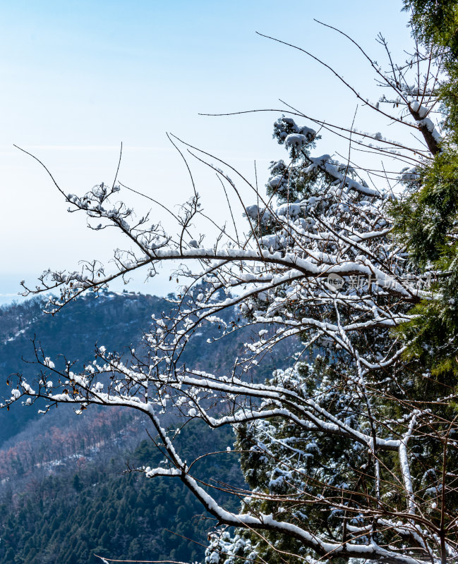 山东泰山红门宫泰山景区景点景观