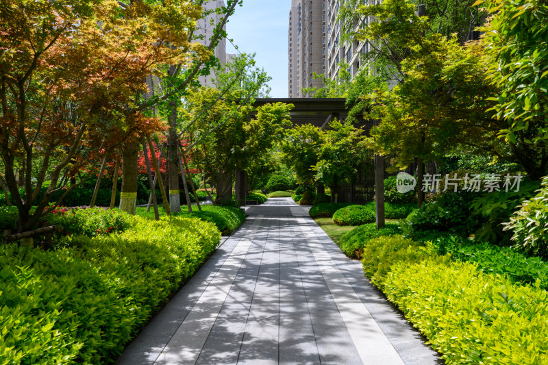 夏季白天商业住宅小区内部景观