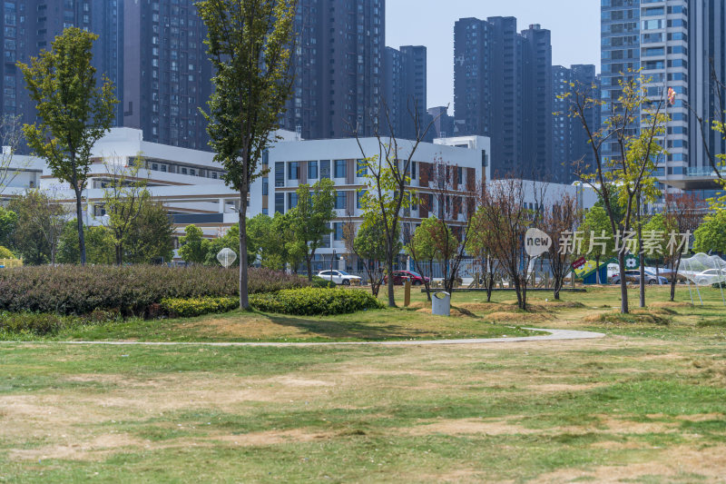 武汉江夏区悦湖公园风景