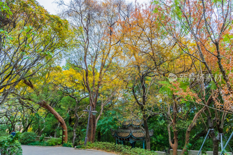 福州乌山历史风貌区秋景