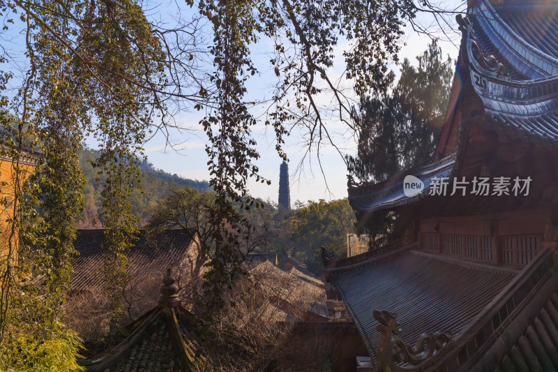 天台国清寺建筑与远处隋塔景观