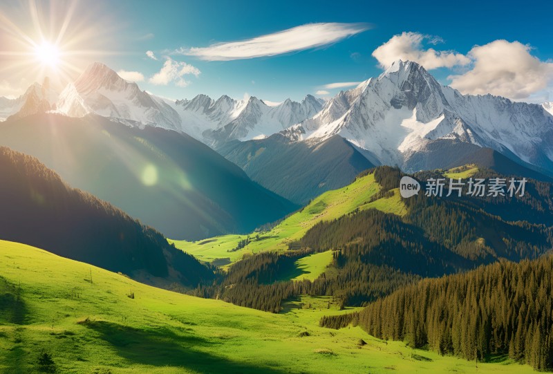 雪山高原草原森林风景