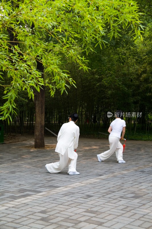 北京紫竹院