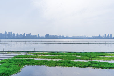 武汉洪山区湖滨公园风景